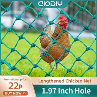 Shop Chicken Net 20m with great discounts and prices online - Apr