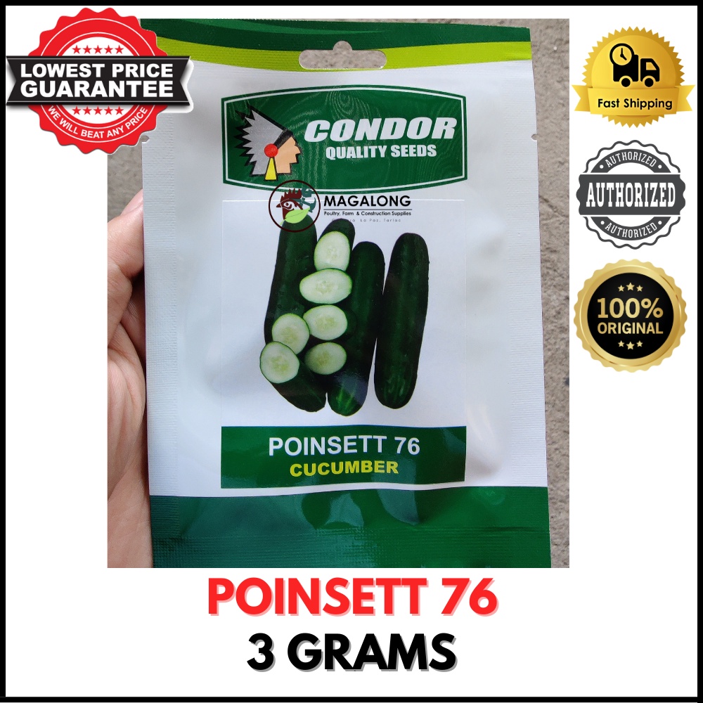 CONDOR SEEDS - CUCUMBER SEEDS - POINSETT 76 3 Grams | Shopee Philippines