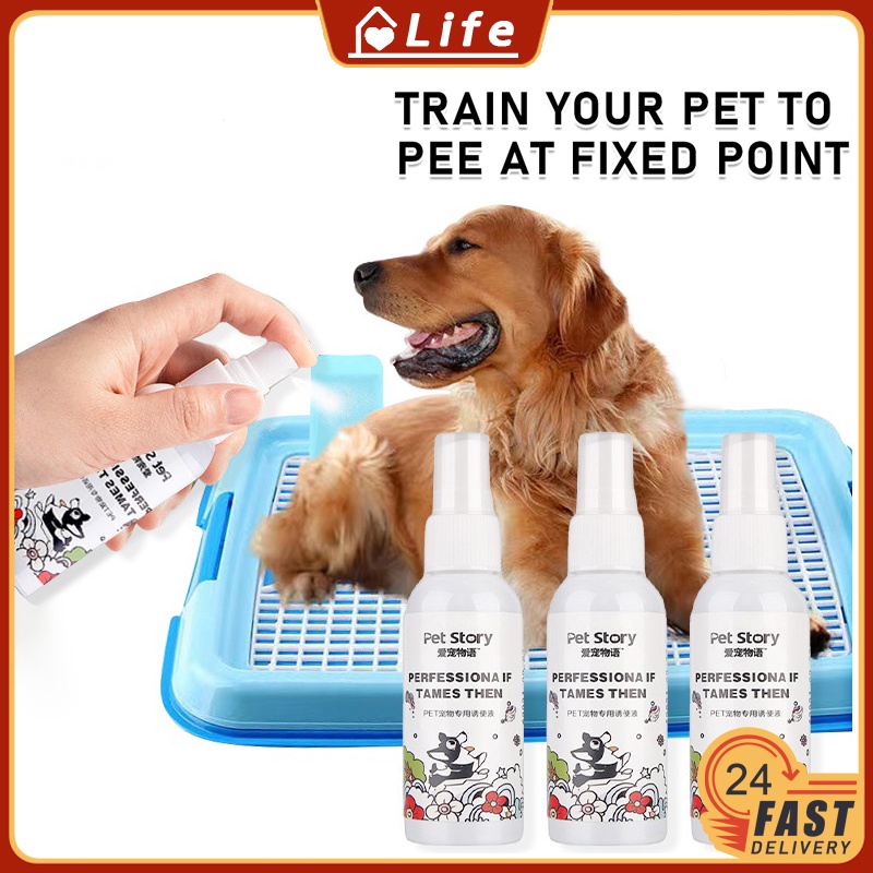 Pet Training Toilet Training Liquid Positioning Defecation Spray Dog ...