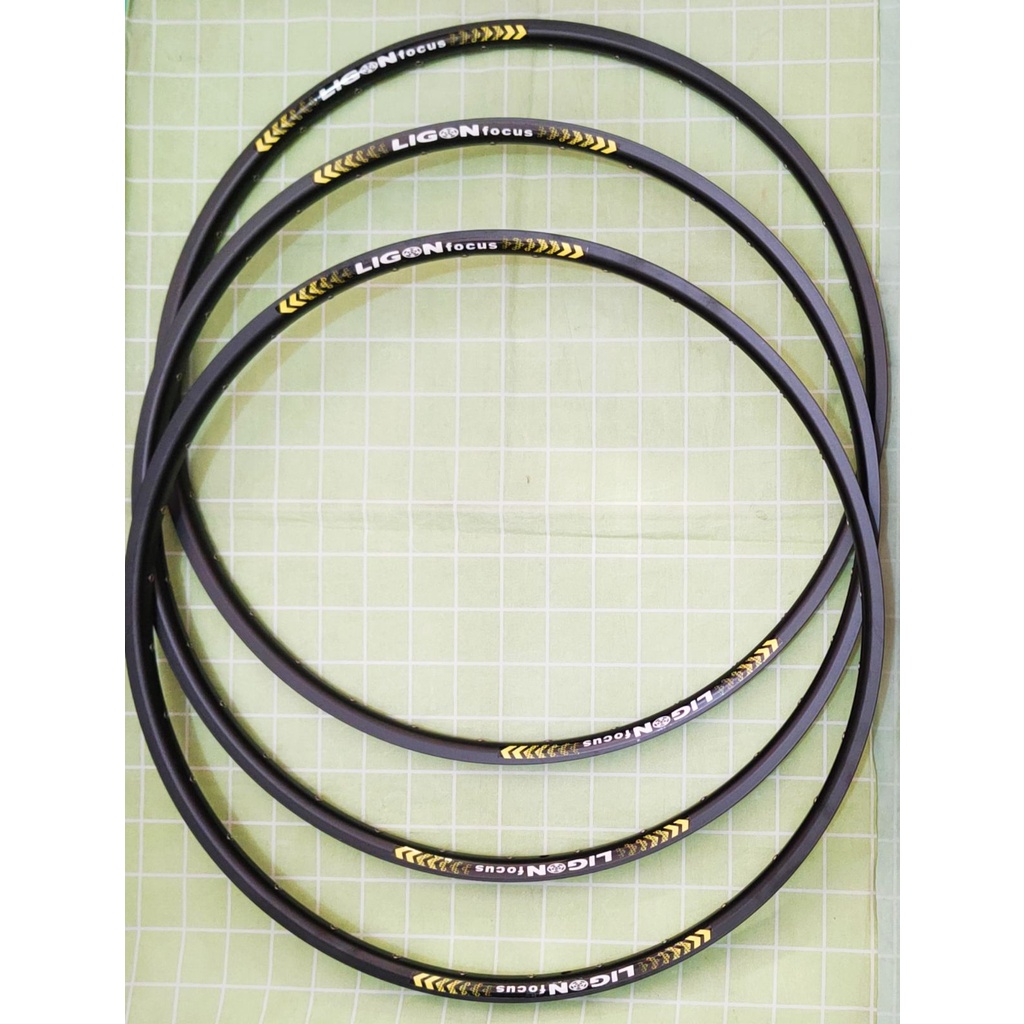 LIGON MTB Rim with Eyelet Double Wall Alloy 32 & 36 Holes Rims for Size