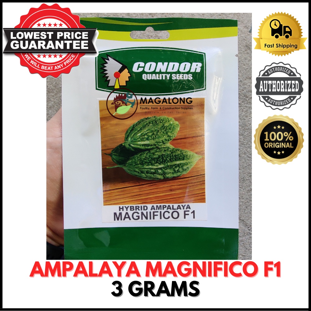 CONDOR SEEDS - AMPALAYA SEEDS - MAGNIFICO F1 HYBRID - 3 GRAMS | Shopee ...