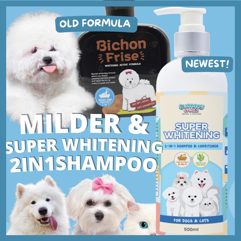 Whitening Shampoo for Bichon Frise 500ml GummyCares Dog Whitening Shampoo White Dog Shampoo Shopee Philippines