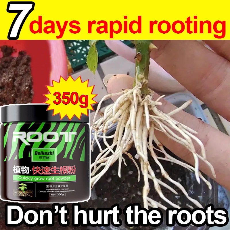Plant Root Rooting 350g Hormone Powder rooting powder rapid growth No