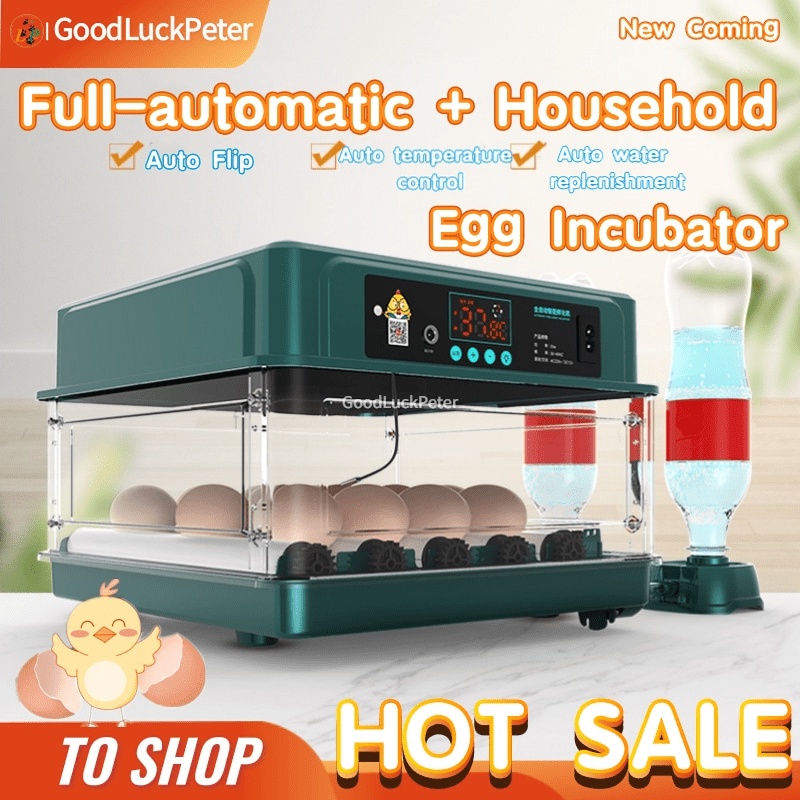 High Hatchability Egg Incubator Automatic Egg Incubator Constant ...