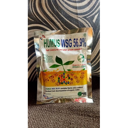 humus 100grams...... | Shopee Philippines