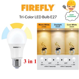 Firefly 2024 warm white