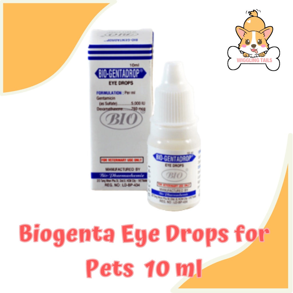 BioGenta Eye Drop 10ml ( For Animal Eye Care) Shopee Philippines