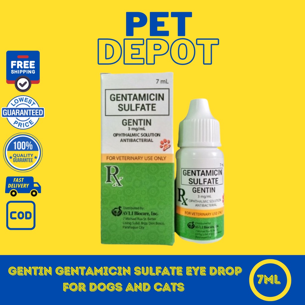 Gentin Gentamicin Sulfate Eye Drop for Dogs and Cats 7ml Shopee