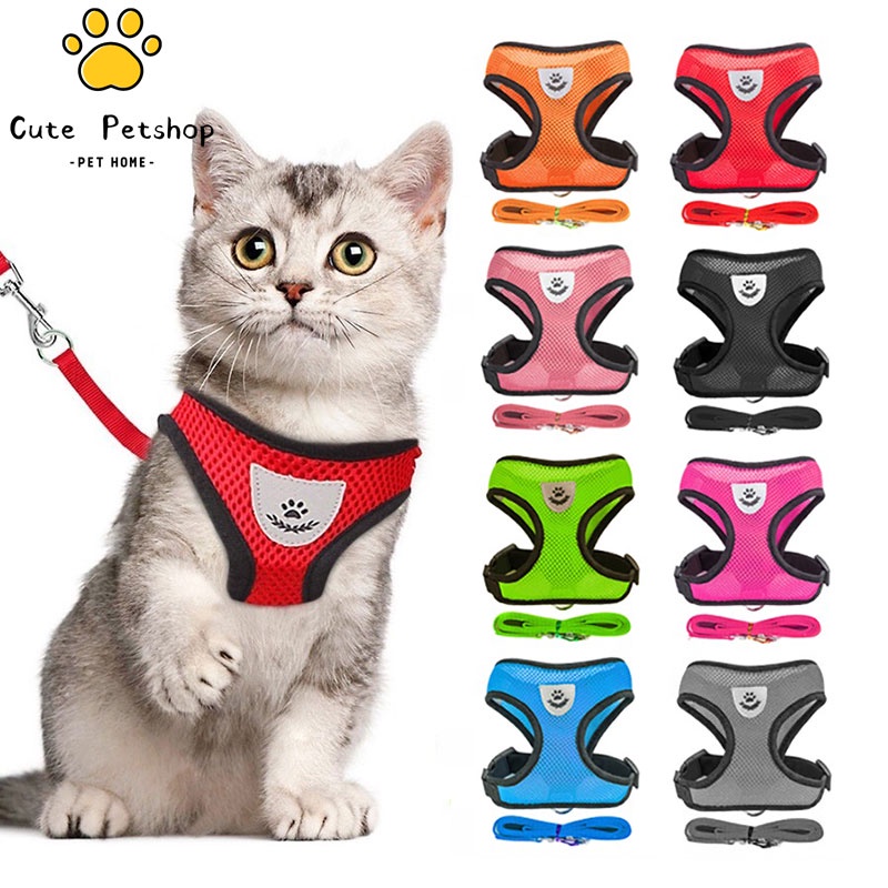 Cat leash harness cat collar leash set cat leash for Cat puppy leash