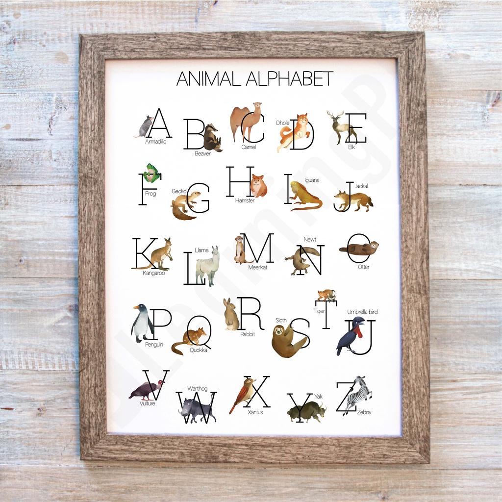 ANIMAL ALPHABET Minimalist Educational Chart A3 A4 5R Laminated ...