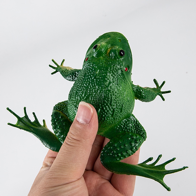 C Simulasyon Realistic Frog Model Tunog Ina At Animal Model Frog Props ...
