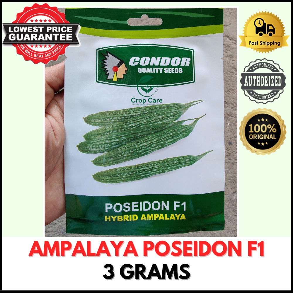 CONDOR SEEDS - AMPALAYA SEEDS - POSEIDON F1 HYBRID 3 Grams | Shopee ...