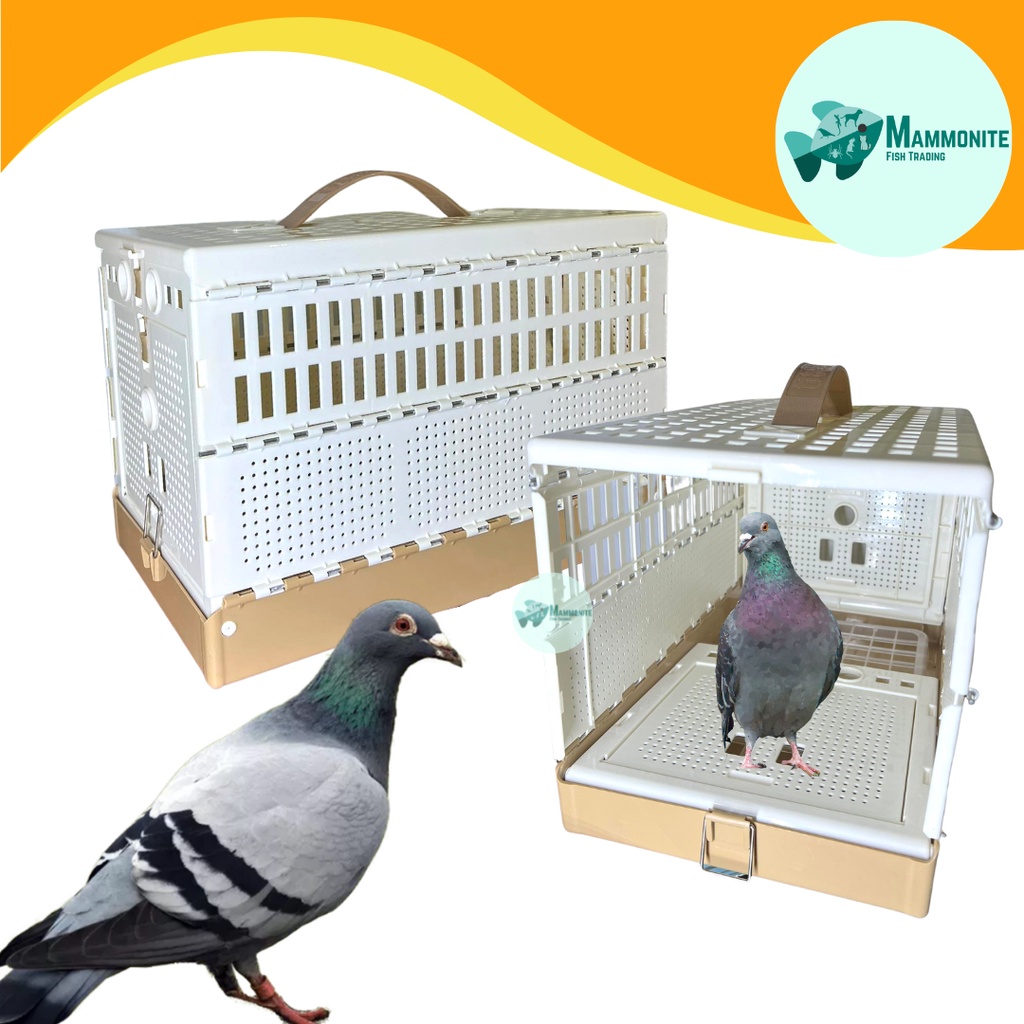 Pet Bird Pigeon Travel Container Cage Crate Collapsible S320 Shopee