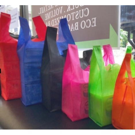 Eco discount sando bag