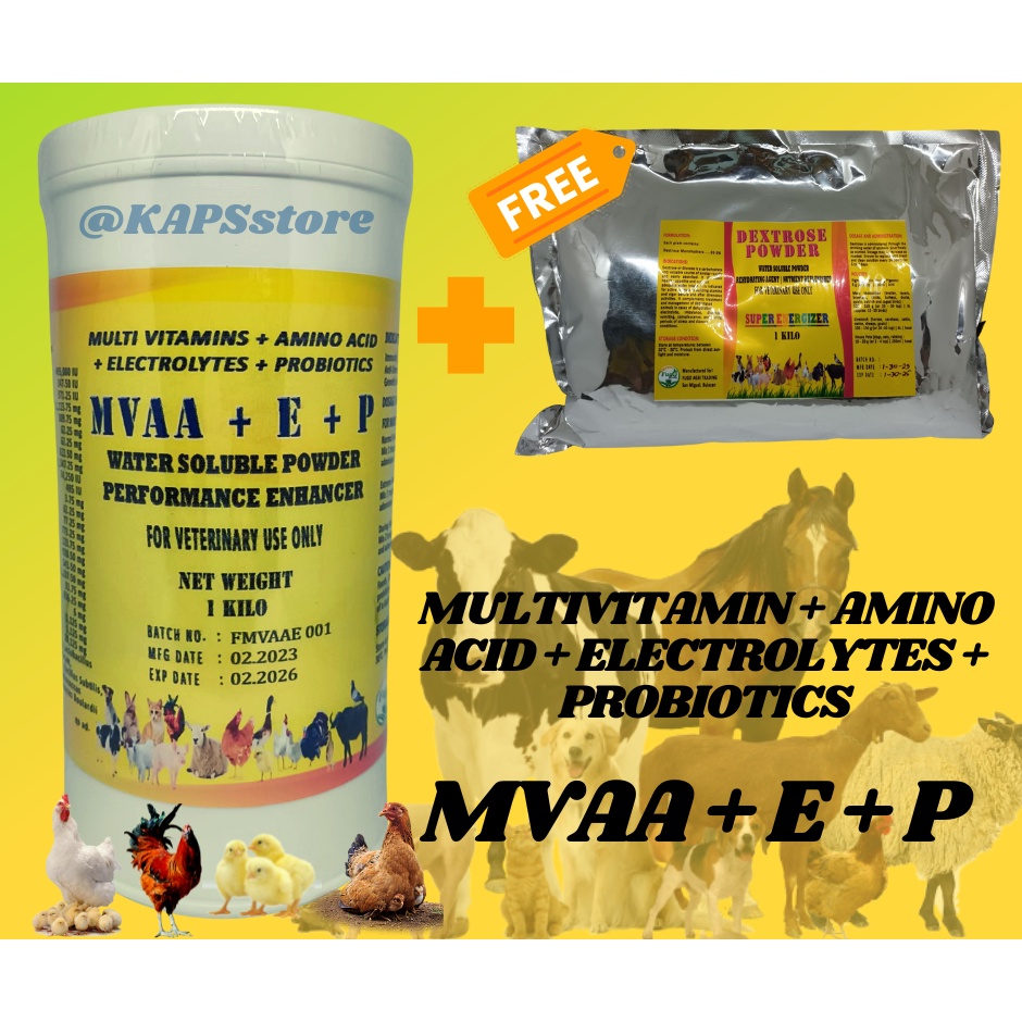 MULTIVITAMIN + AMINO ACID + ELECTROLYTES + PROBIOTICS (MVAA + E + P) 1