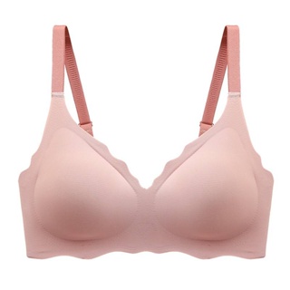 Daisycollection Suji Bra Light Weight Wireless Seamless Bra