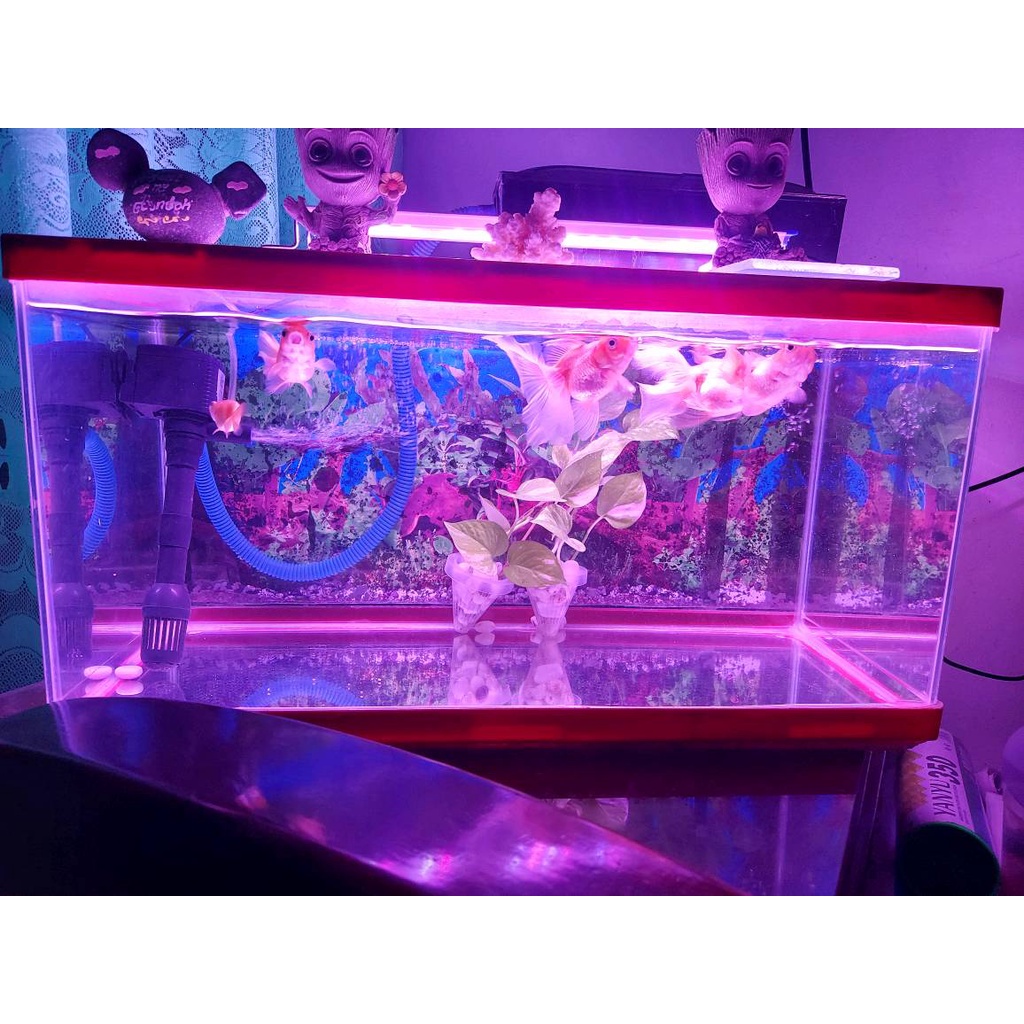 LED full spectrum Aquarium Light Aquatic plant decor lamp Tricolor Fish