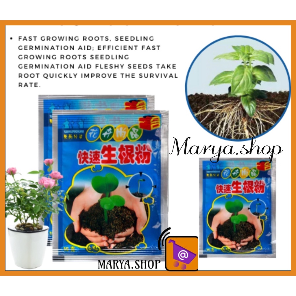 MARYA.SHOP 1PC 10g Rapid Rooting Powder Must Have For Plantito Plantita ...
