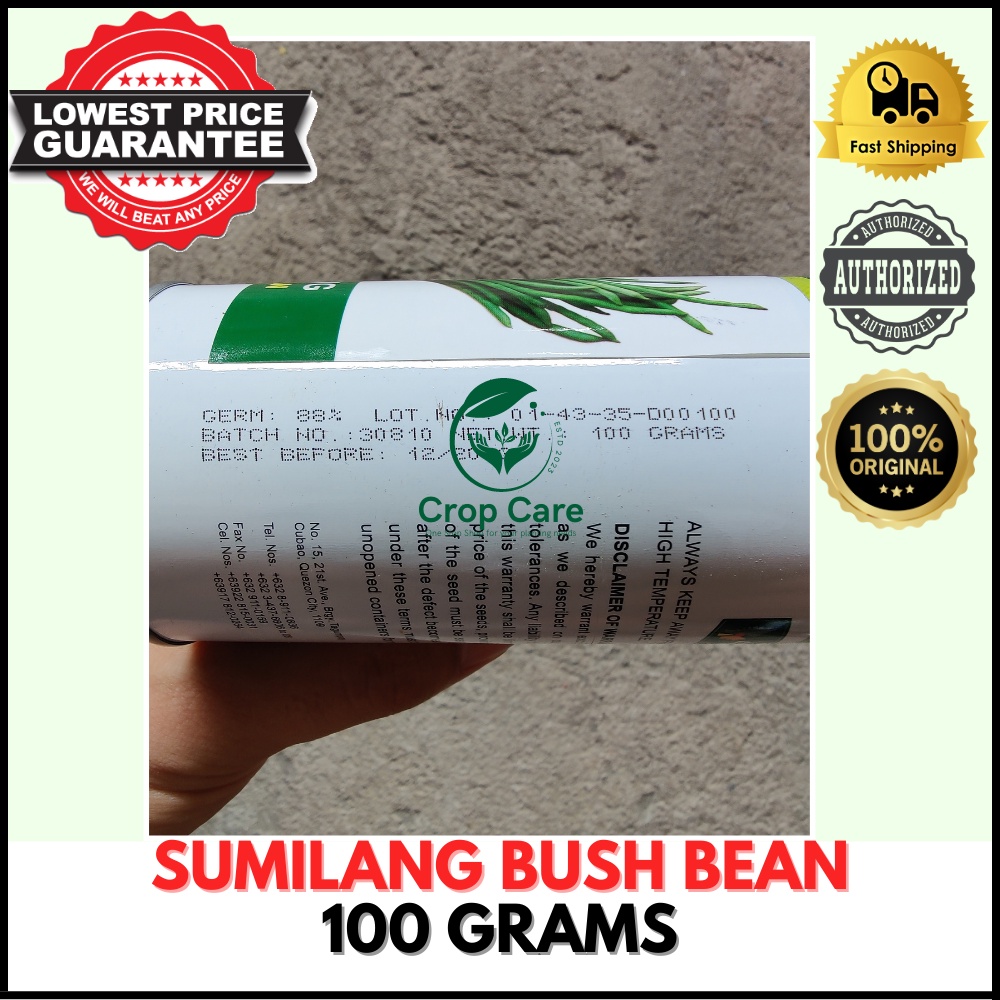 CONDOR SEEDS - SITAW SEEDS - SUMILANG BUSH BEAN 100 GRAMS | Shopee ...