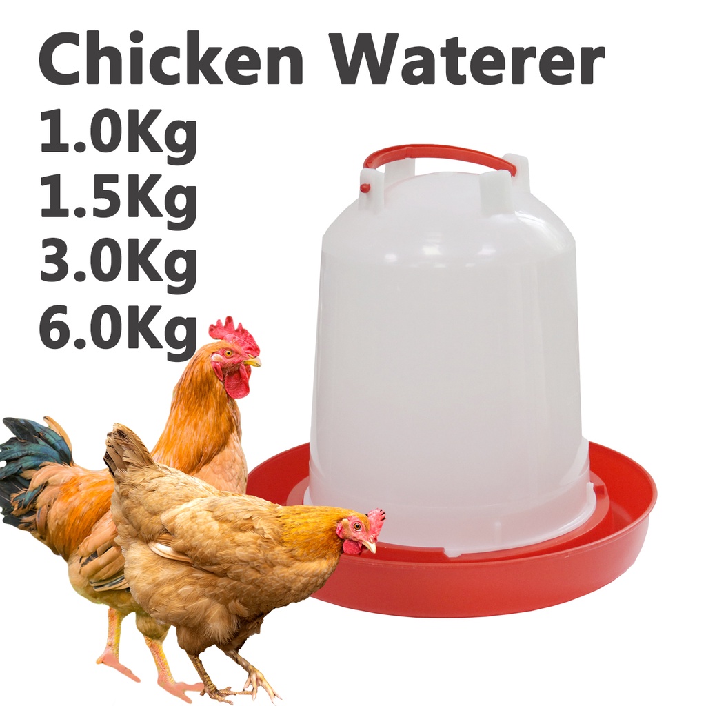 Chicken Waterer 1Kg/1.5Kg//3Kg/6Kg Chicken Drinker Chicken Drinking Fountain Device Poultry