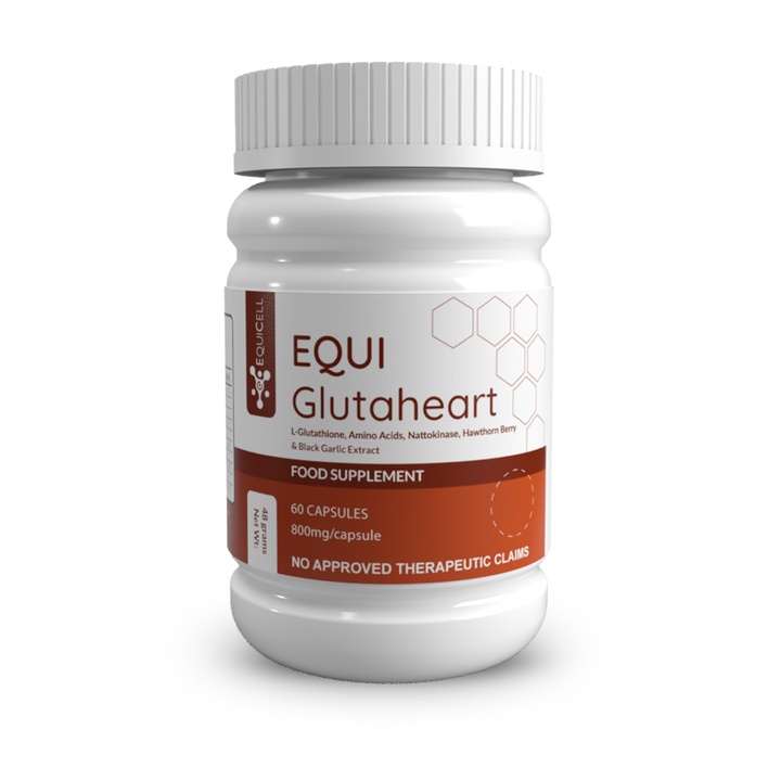 Equi GlutaHeart with LGlutathione, Amino Acids, Nattokinase 800mg x