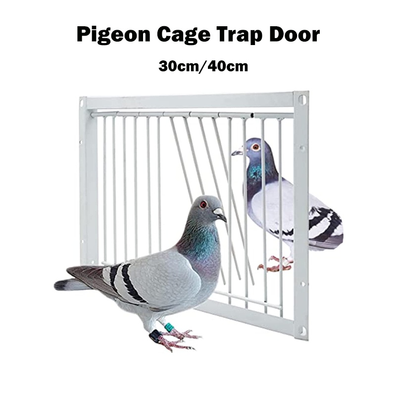 40x26cm Racing pigeon trap door Pigeon loft cage door Dove Entrance Trapping OneWay Door