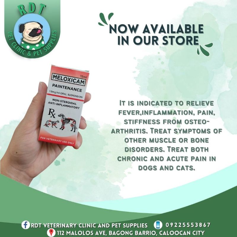 Pain Reliever in Dogs and Cats 15 ml Shopee Philippines