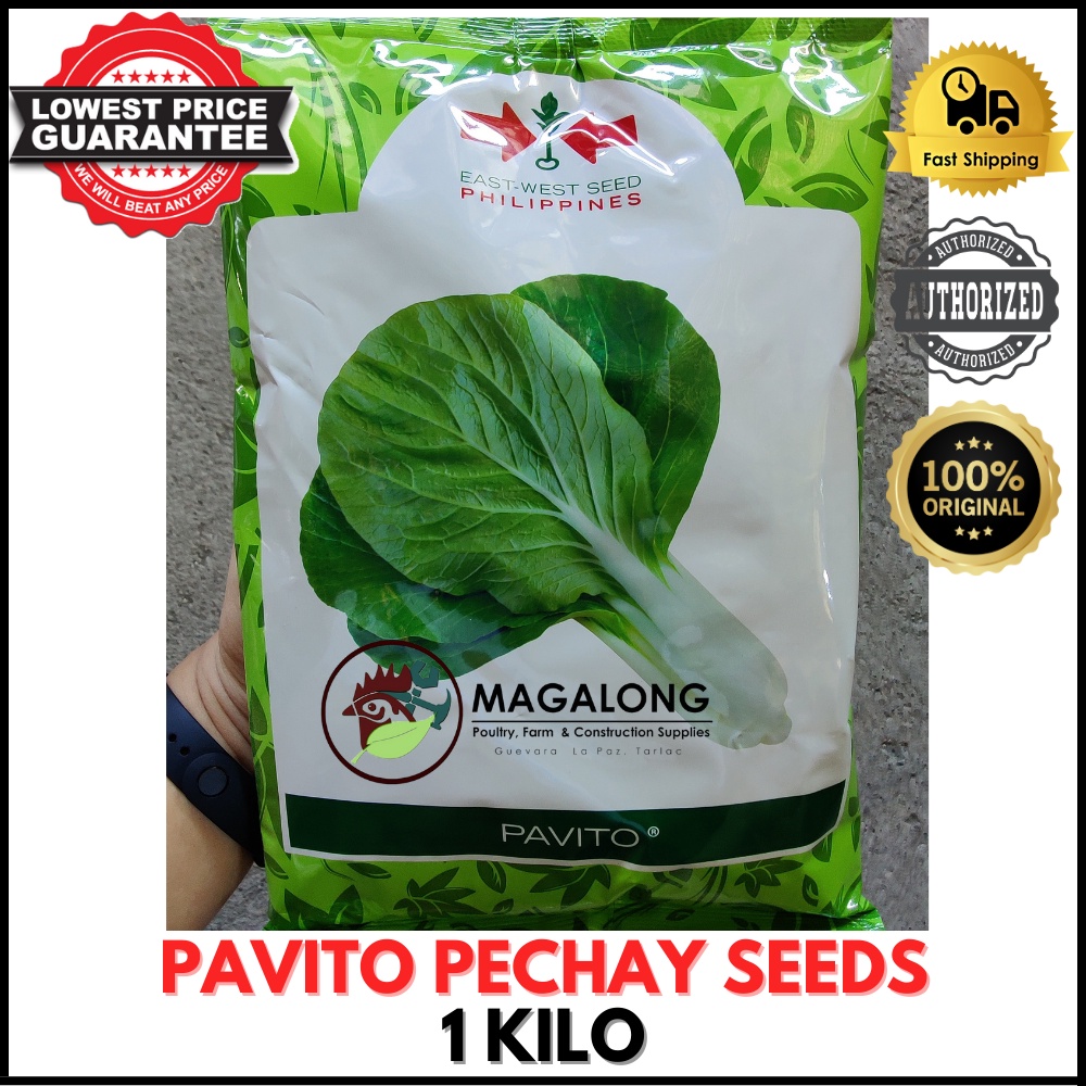 EAST-WEST SEEDS - PECHAY SEEDS - PAVITO 1 KILO | Shopee Philippines