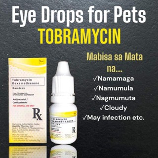 Dexamethasone eye drops outlet for cats