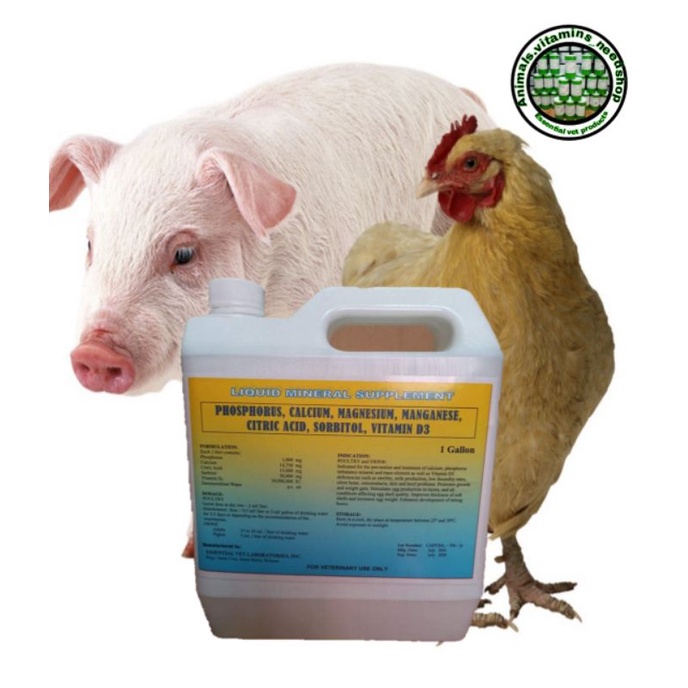 ♦Essential vet Calcium, phosphorus, magnesium, citric acid,vitamin d3