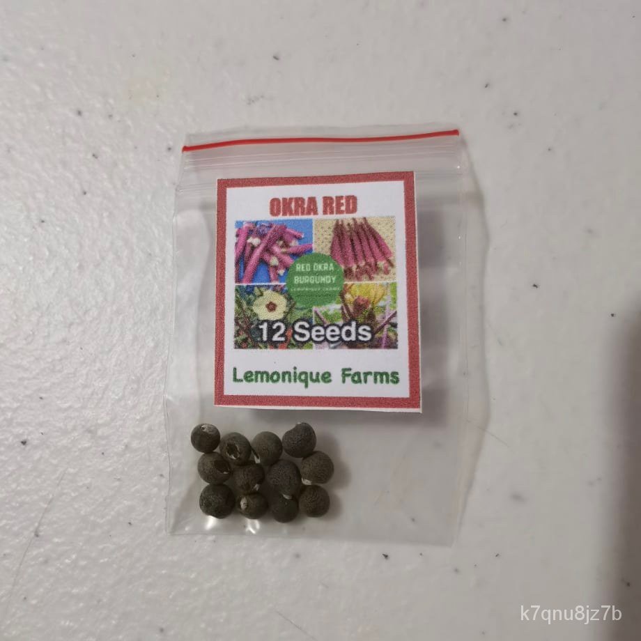 okra seeds green okra seeds smooth okra seeds okra green seeds