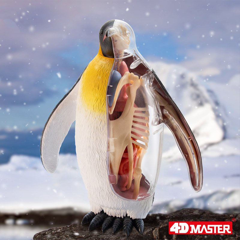 Famemaster 4D Vision Emperor Penguin Anatomy Model Animal Organ Anatomy