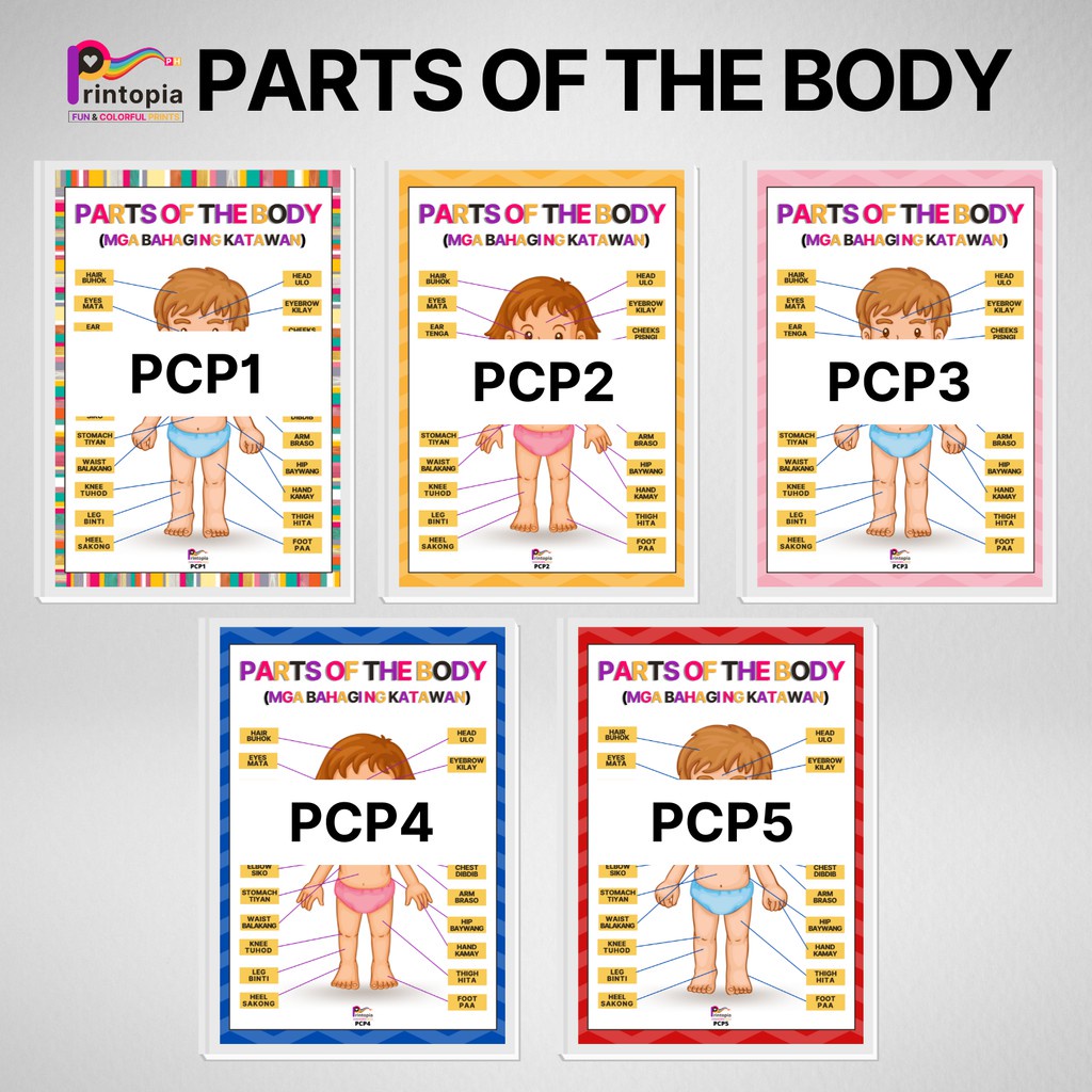 PARTS OF THE BODY English/Tagalog Chart for Kids Learning Materials