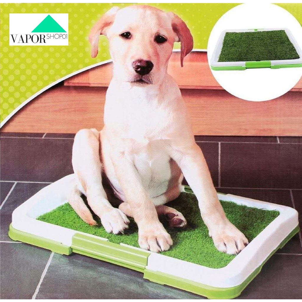 Puppy Potty Pad Perfect Pets Indoor Dog Toilet Training Shopee