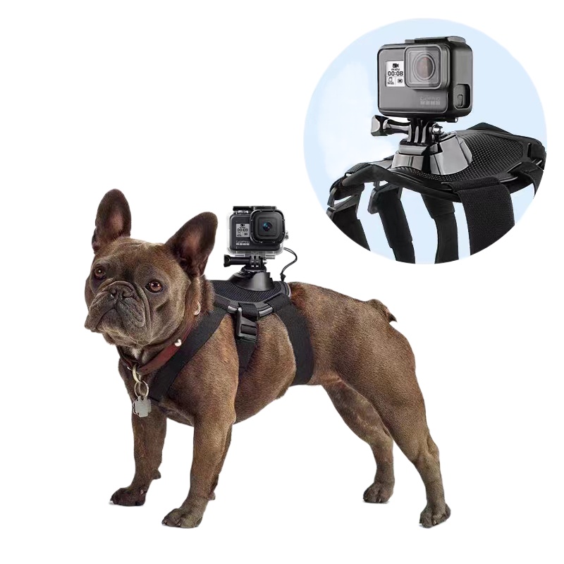 Dog Harness Mount for Gopro, Soft and Adjustable Dog Harness Vest with