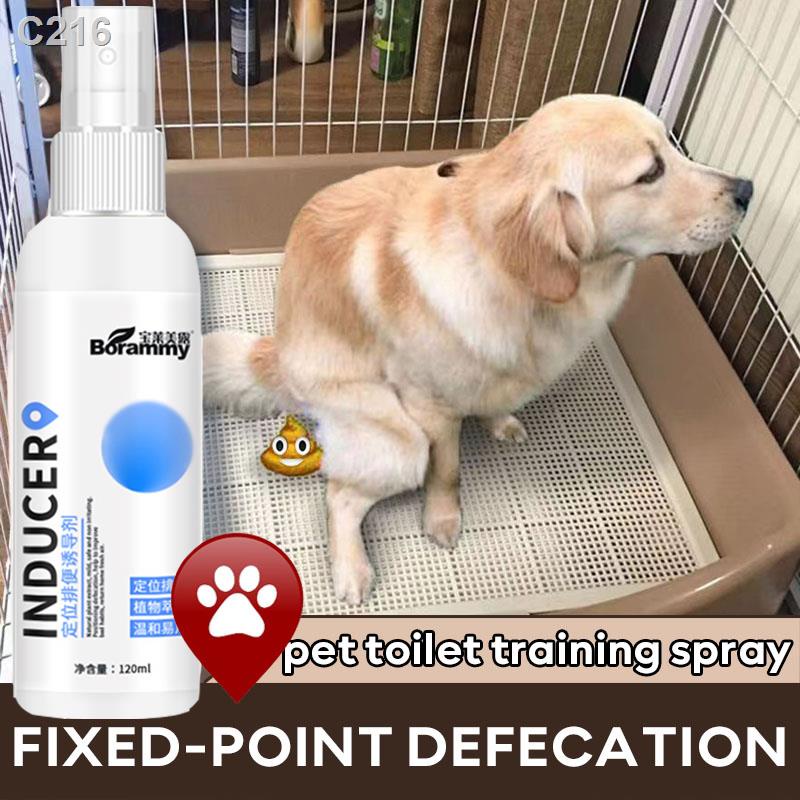 potty trainer for dogs spray 120ML potty spray for dogs and cats Pet