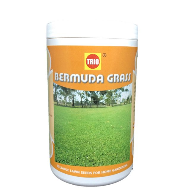 Bermuda grass seed 400 g FKGD Shopee Philippines