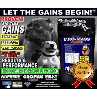 Pro mass best sale gainer for dogs