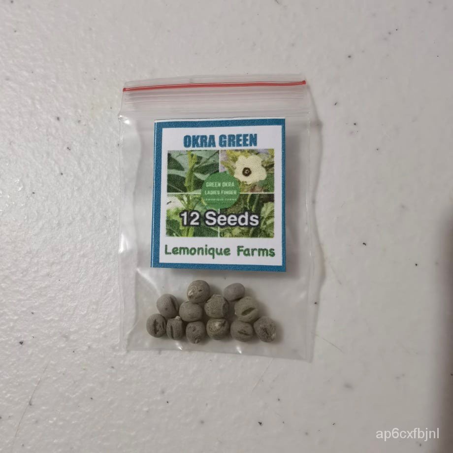 okra seeds green okra seeds smooth okra seeds okra green seeds