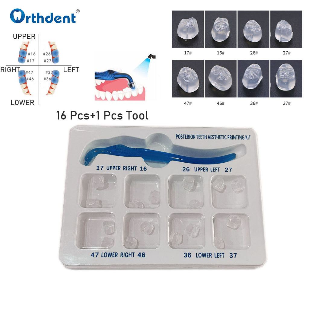 Dental Posterior Teeth Aesthetic Printing Kit Dentistry Reshape Resin