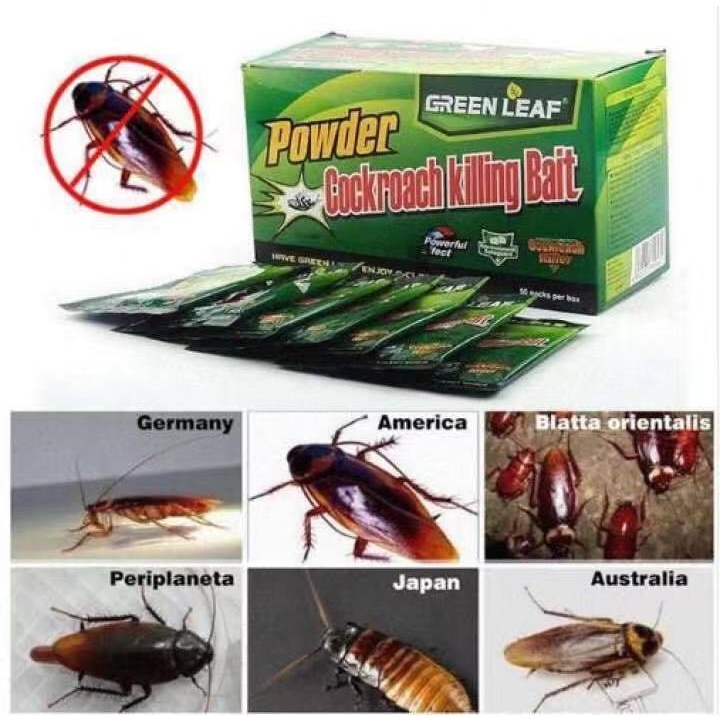 50pcs Effective Green Leaf Powder Cockroach Killing Bait pests