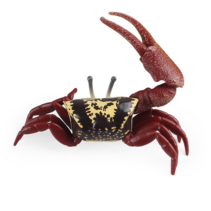 Jd40 Cross Border Children's Simulation Crab Solid Ocean Fiddler Crab 