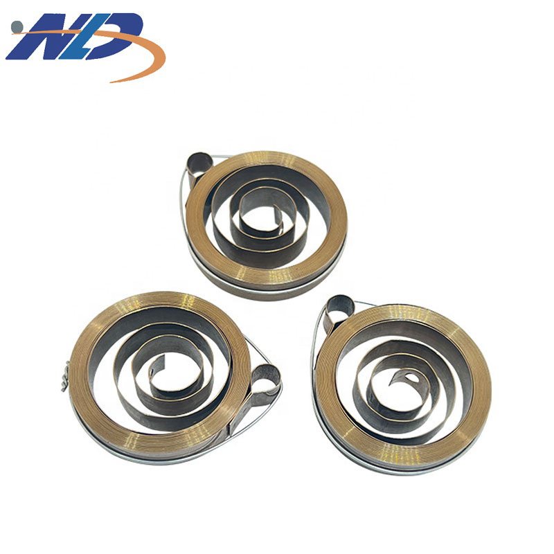 Nld Oem Custom Stainless Steel Metal Coil Constant Force Flat Torsion