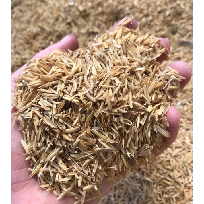 IPA NG PALAY / RICE HULL 250 grams. | Shopee Philippines