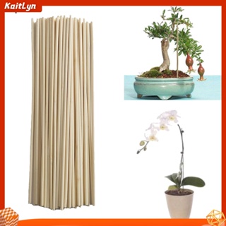 Bendable Moss Pole, 45 Coir Pole For Climbing Plants,diy Shapes Coir Moss  Pole,plant Stakes Support For Monstera, Pothos And More Indoor/outdoor Pla