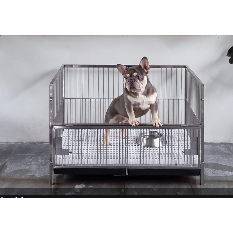 2x3x2 Stainless Dog Cage plastic matting /w plastic poop tray. Shopee
