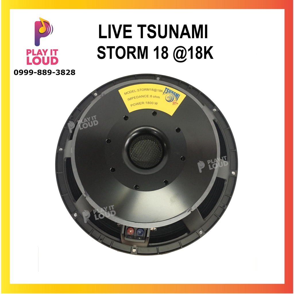 Live tsunami view
