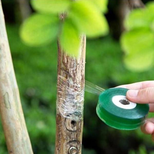 TKE Grafting Tape Graft Membrane Parafilm Pruning Strecth Graft Budding Garden Repair Grafting