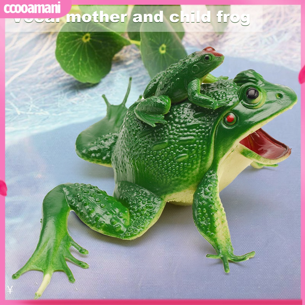 [cooamani] Sounding Frog Toy Clear Texture Puzzle Tricky Props ...