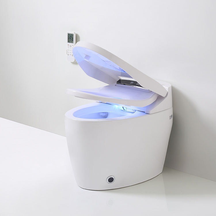 Intelligent Smart Water Closet | Shopee Philippines